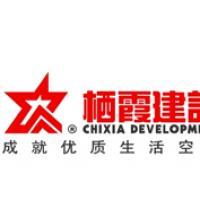 棲霞建設董事會決議公告 選舉江勁松為董事長、總裁及投資興辦實業